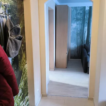 Warm And Welcoming Near Xiaomi Arena